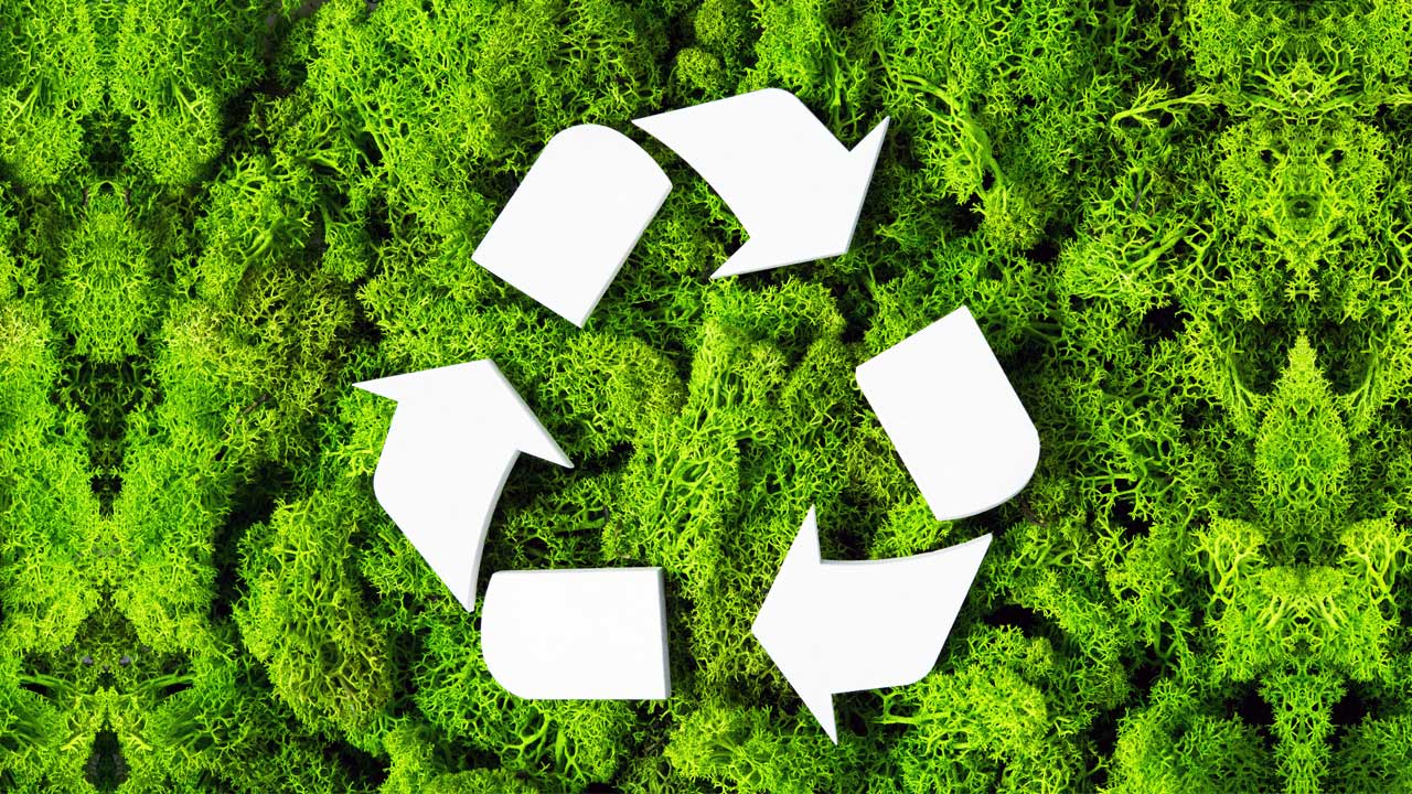 Recycling Can Become a Problem